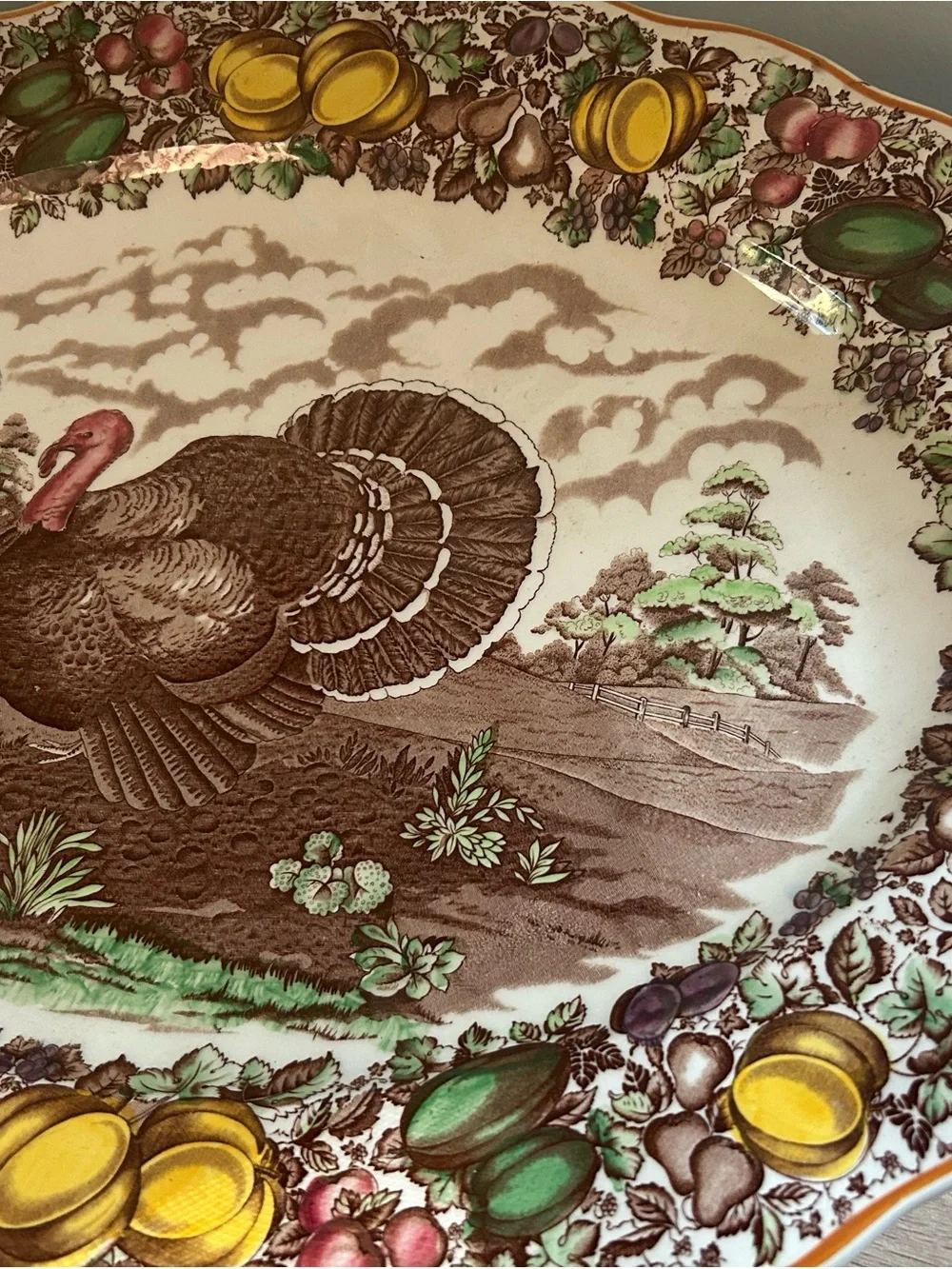Barker bros ltd Vintage Turkey Serving Platter in Brown and Green